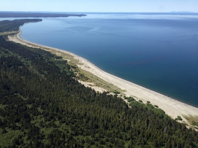 An aerial view of a forested coastline and beach along the Pacific (placeholder photo)