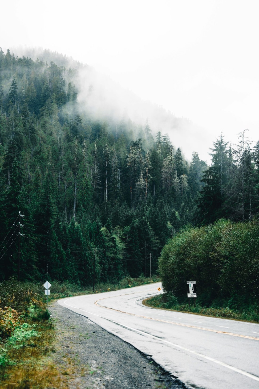 A quiet forested island highway disappearing into coastal fog (placeholder photo)